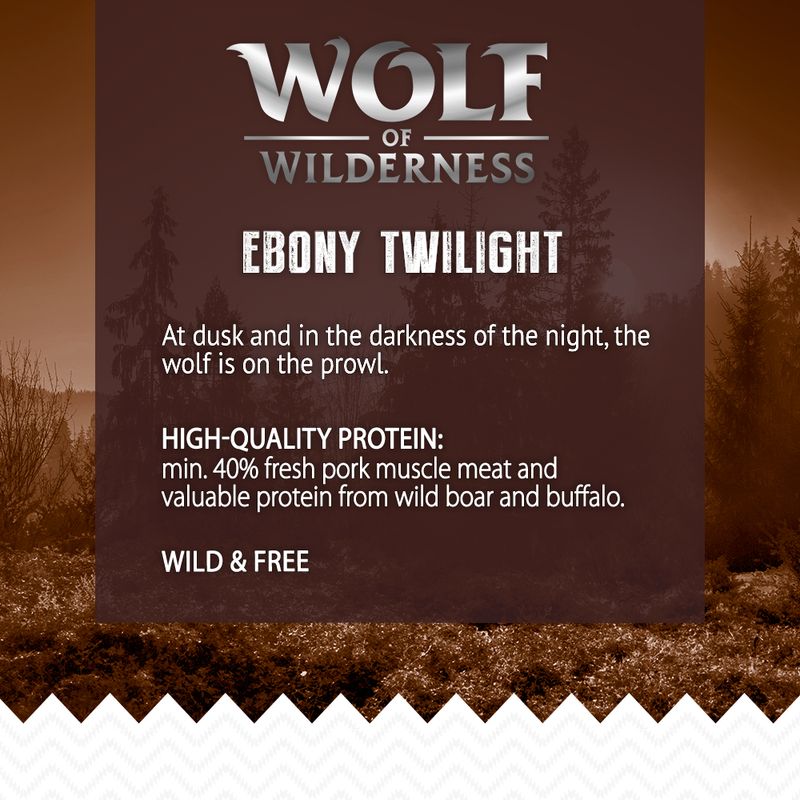 Wolf of Wilderness \