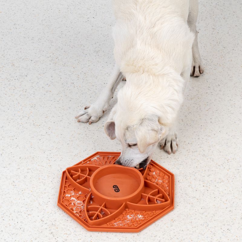 TIAKI Silicone Mandala Slow Feeder 200ml