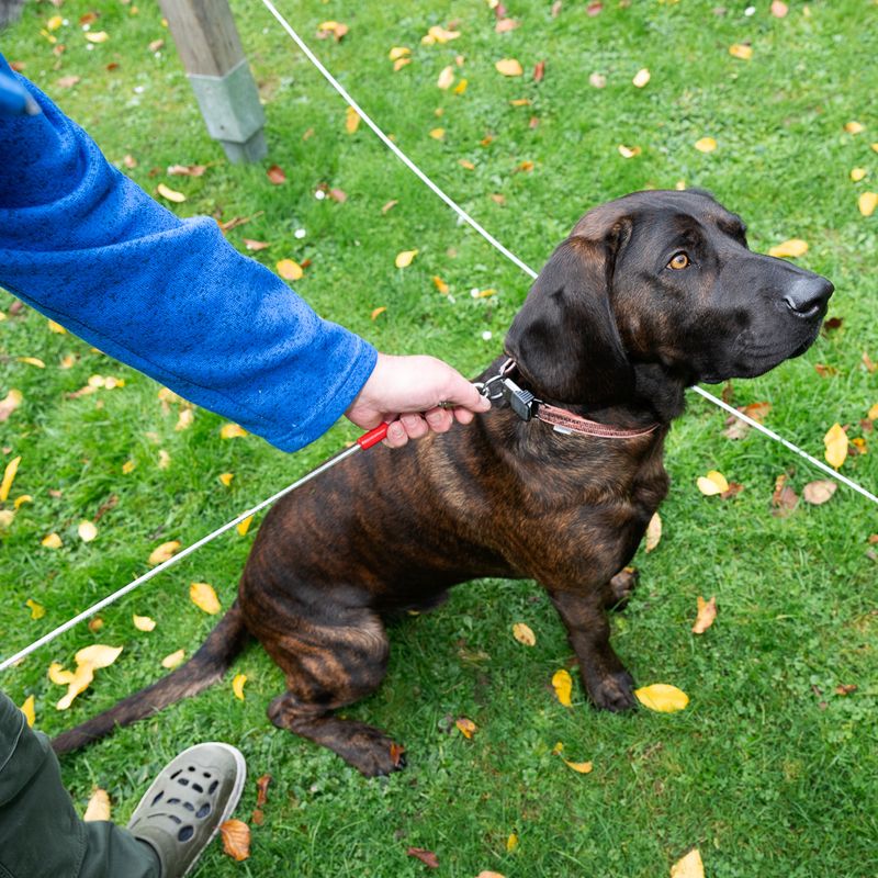 TIAKI Garden Lead 7m Length