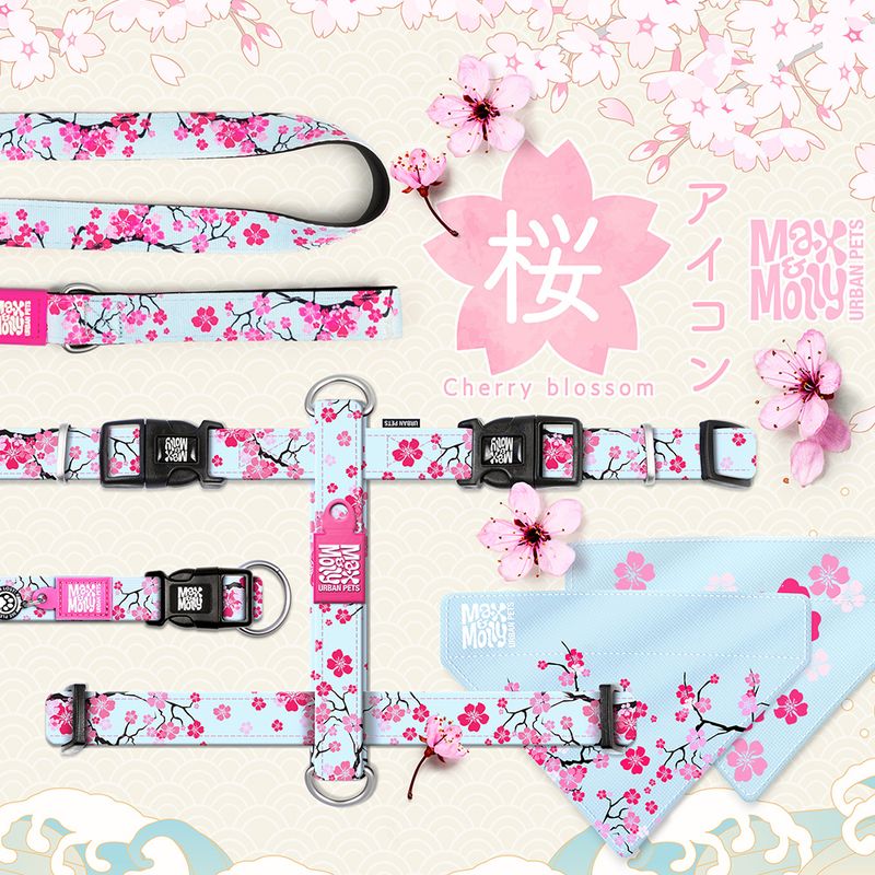 Max & Molly Cherry Bloom H-Harness S: 41-52cm chest girth