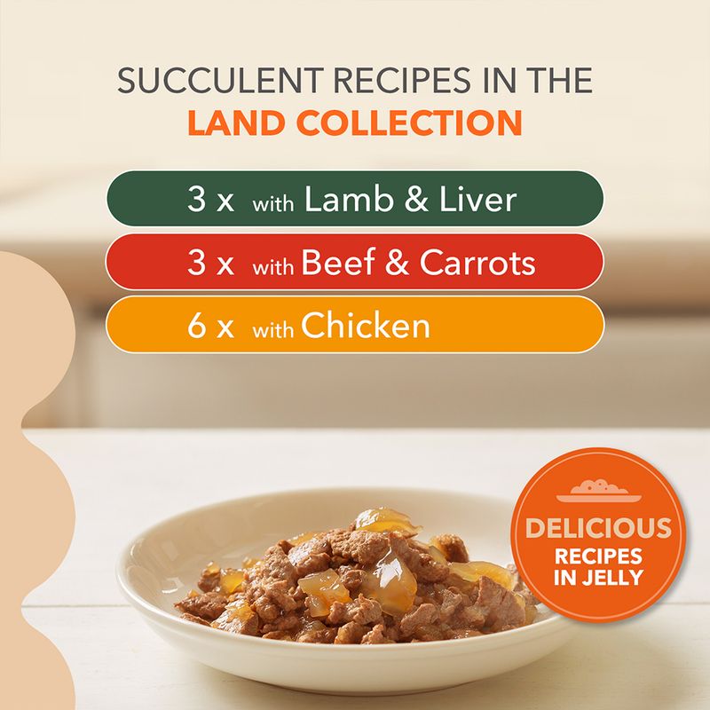 IAMS Advanced Nutrition Senior 7+ Land Collection in Jelly 12 x 85g (3 Flavours)