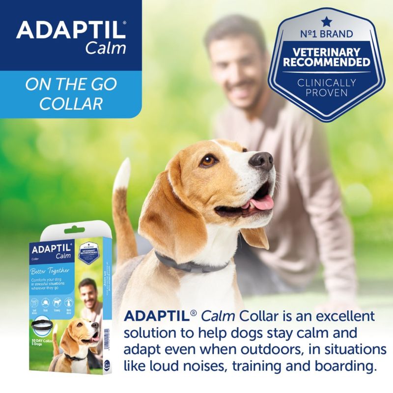 ADAPTIL® Calm Collar for Dogs Puppy / Small dogs