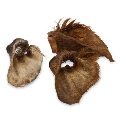 Wolf of Wilderness “High Valley” – Dried Cows’ Ears with Fur 120g (approx. 3 pcs)
