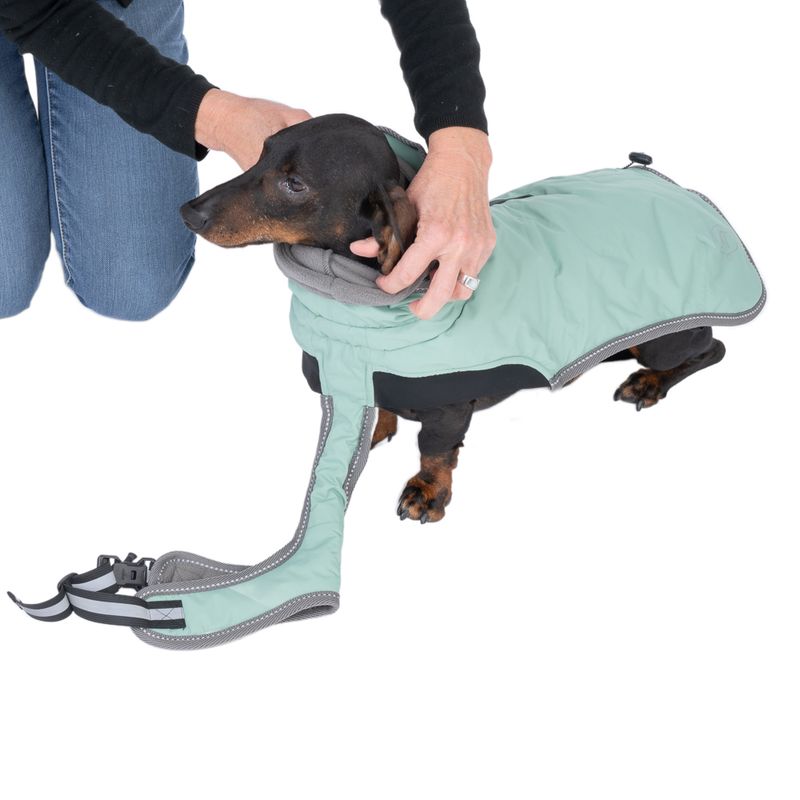 Nomad Tales Bloom Dog Coat - Granite approx. 35cm Back Length