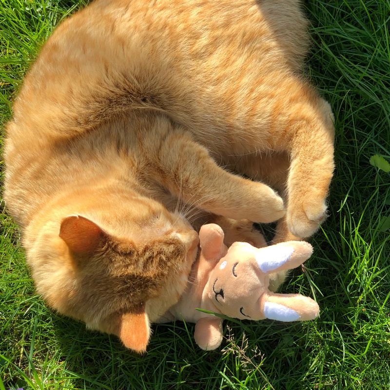 Aumüller Valerian Cuddly Bunny 1 toy