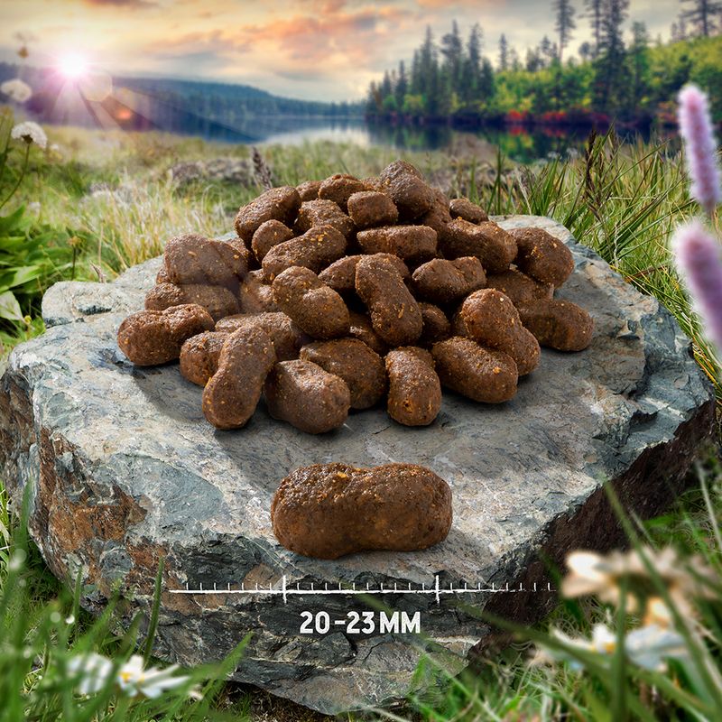 Purizon Adult Grain-Free Dry Cat Food Economy Pack Adult Chicken with Fish (2 x 6.5kg)