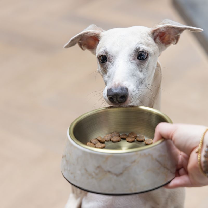 Designed by Lotte Marble Melamine Feeding Bowl - Beige 700ml, diameter 22cm