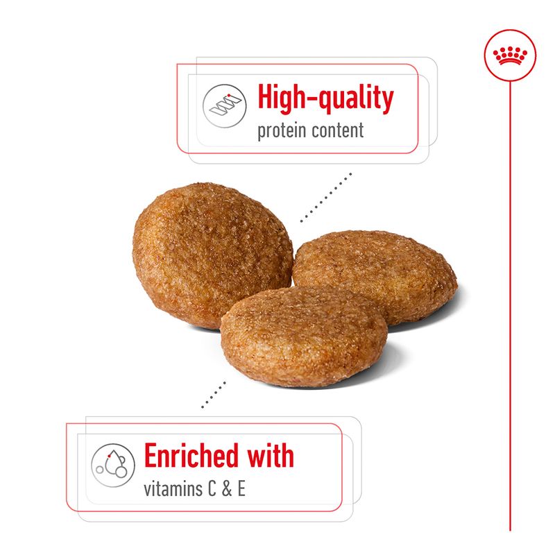 Royal Canin Medium Adult Poultry & Pork 4kg