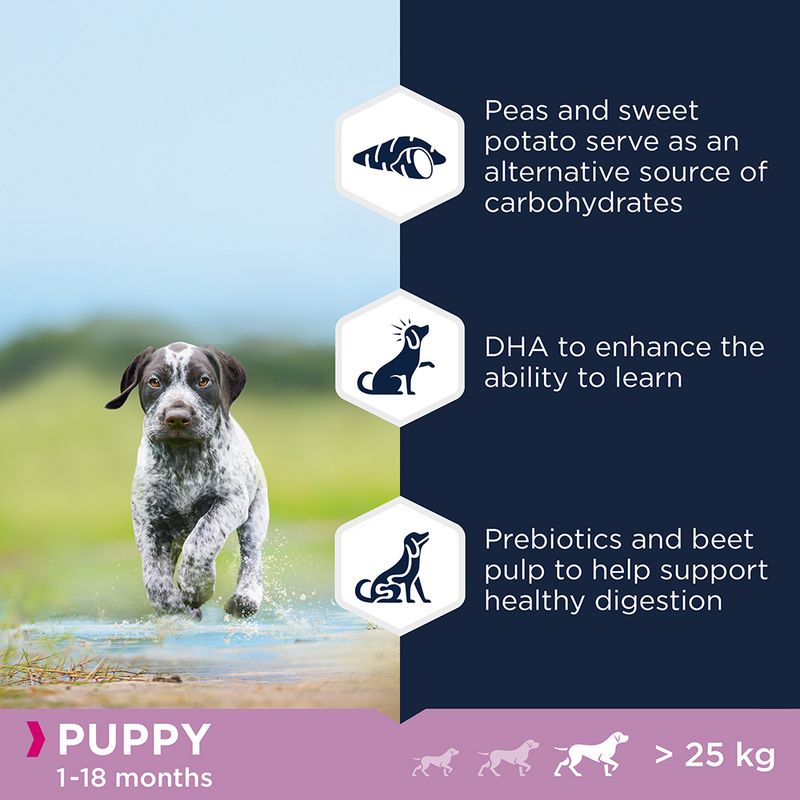 Eukanuba Grain-Free Large Breed Puppy with Salmon 3kg