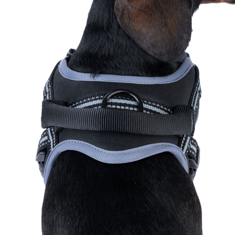 TIAKI Saddle Harness Small: approx. 40 - 50cm (Neck Circumference)