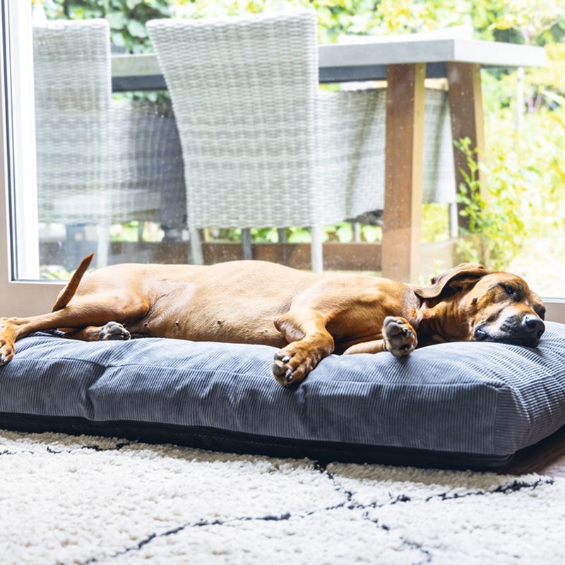 beeztees Veo Orthopaedic Cushion - Dark Grey approx. 75 x 50 x 9cm (L x W x H)