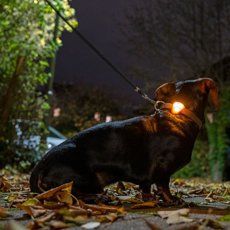 TIAKI LED Lighthouse Light for Collar - Orange Orange