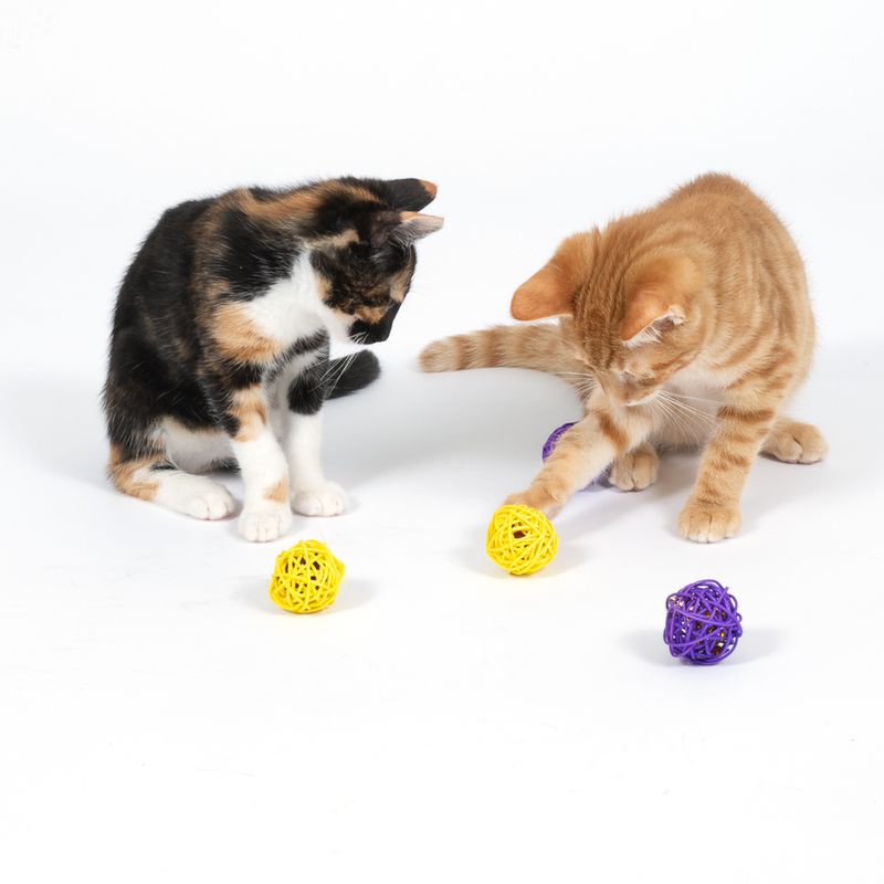 TIAKI Willow Balls Set Set of 4