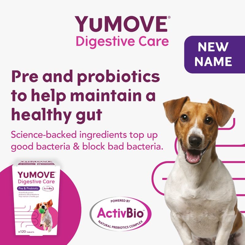 YuMOVE Digestive Care Pre- & Probiotic 120 Tablets