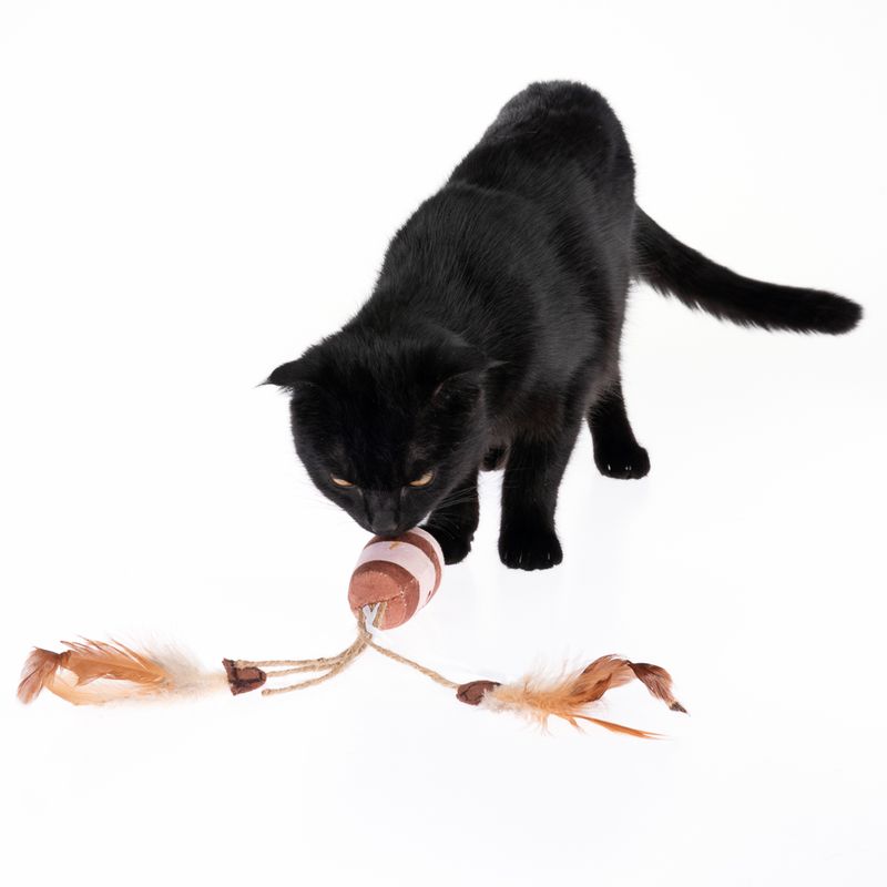 Cat Toy Coffee Mug with Catnip 1 piece