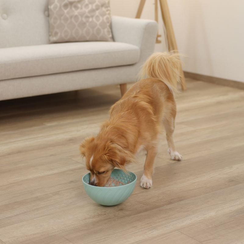 Kerbl Pet Licking Bowl - Turquoise 20.5 x 11cm (W x L)