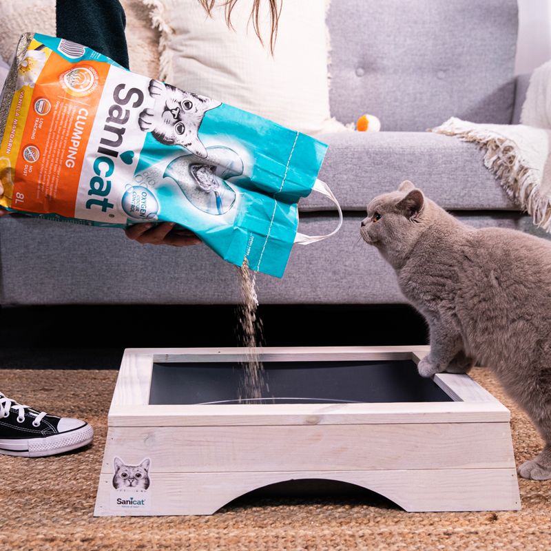 Sanicat Vanilla Mandarin Clumping Cat Litter 8l