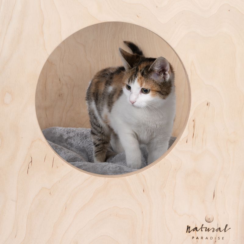 Natural Paradise Mimosa Cat Den Natural wood with cream cover