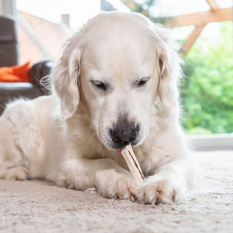 8in1 Delights Chew Sticks Beef 75g (3 Stick)