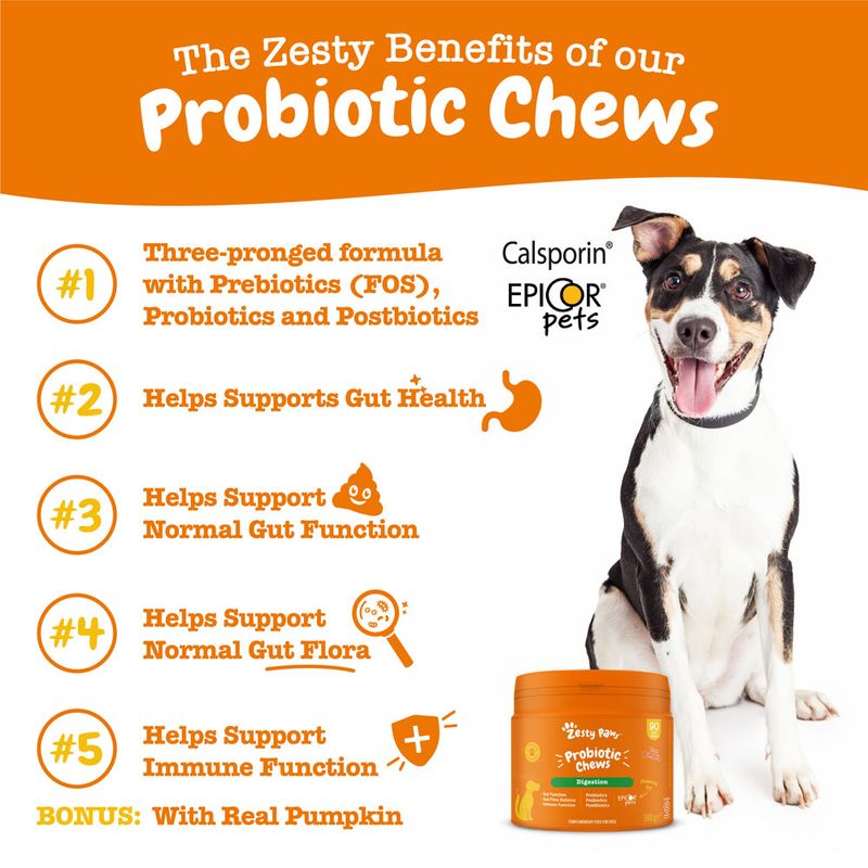 Zesty Paws Probiotic Chews Digestion - Pumpkin 90 Chews
