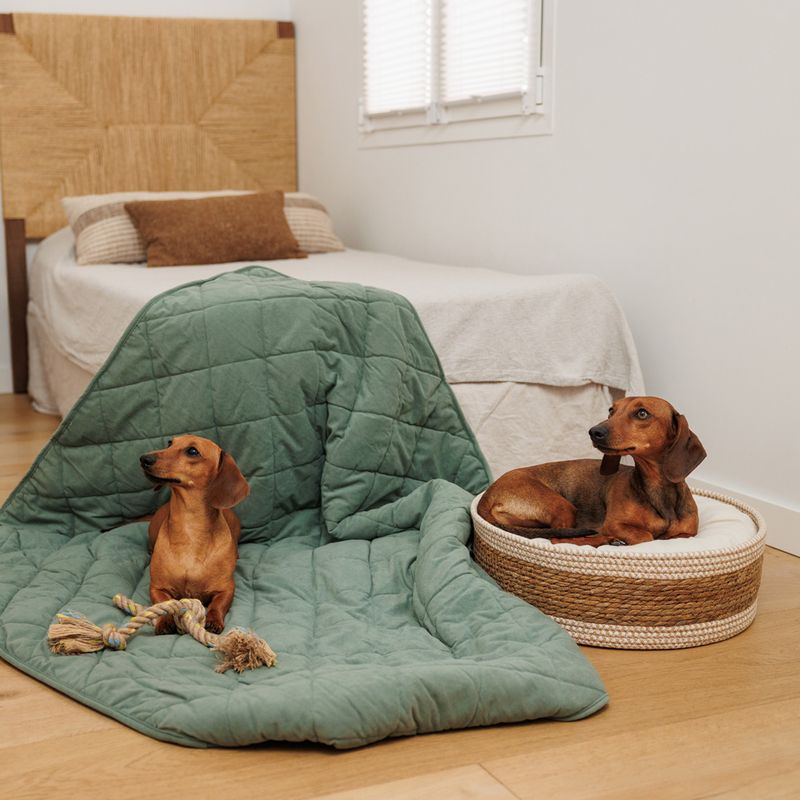 Modern Living Dog Blanket Victoria L 140 x W 125 cm