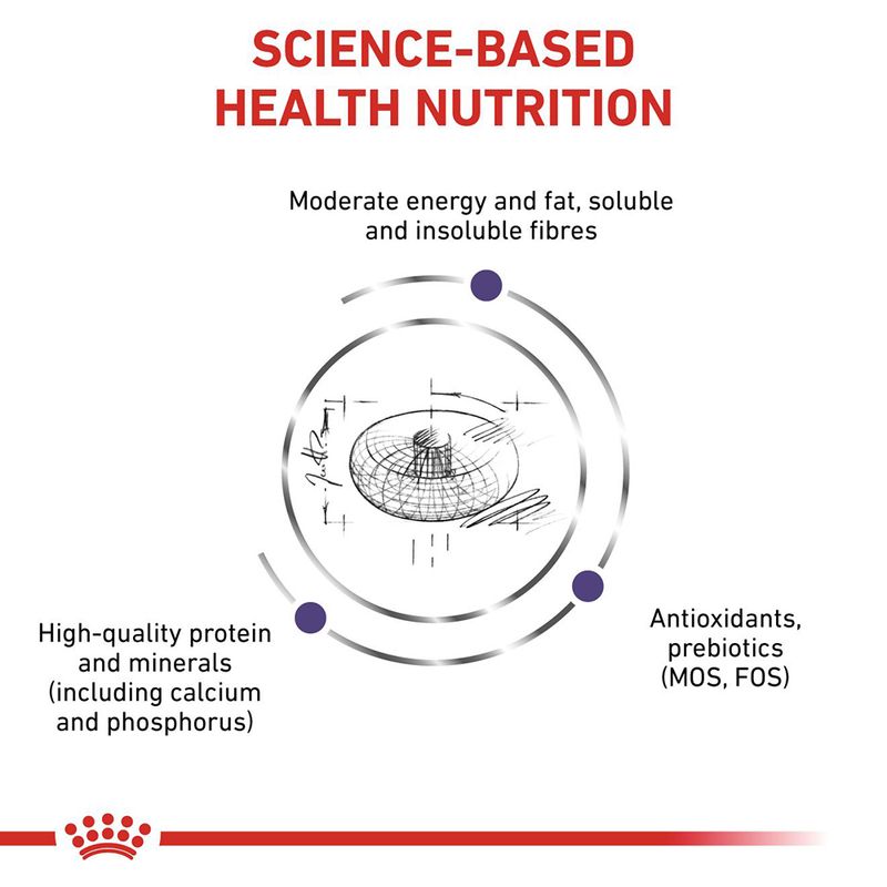 Royal Canin Expert - Neutered Junior Medium Dog 10kg