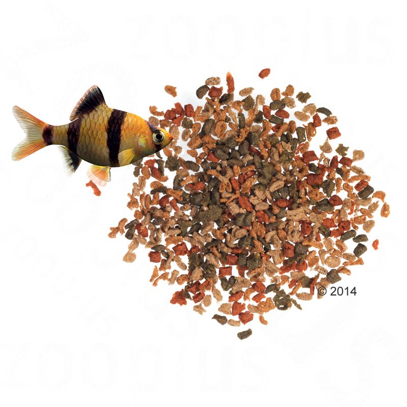 TetraMin Granules 250ml