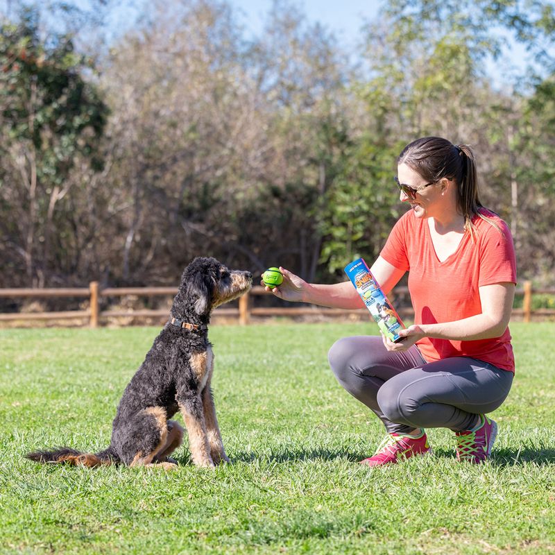 Chuckit! Sniff Fetch Balls Canister 4 balls, 6.5cm (W)