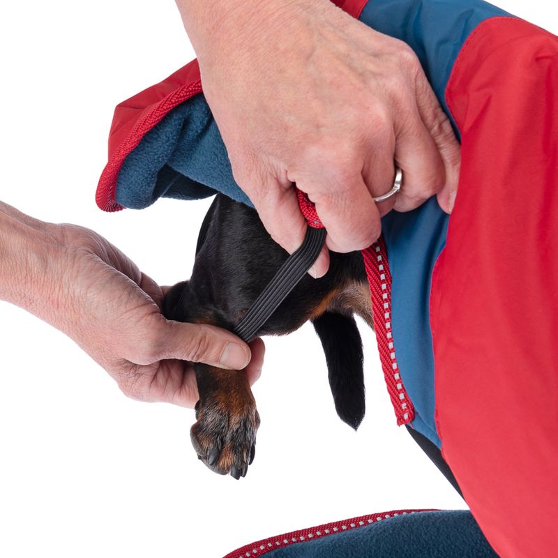 Nomad Tales Bloom Dog Coat - Sunset approx. 35cm Back Length