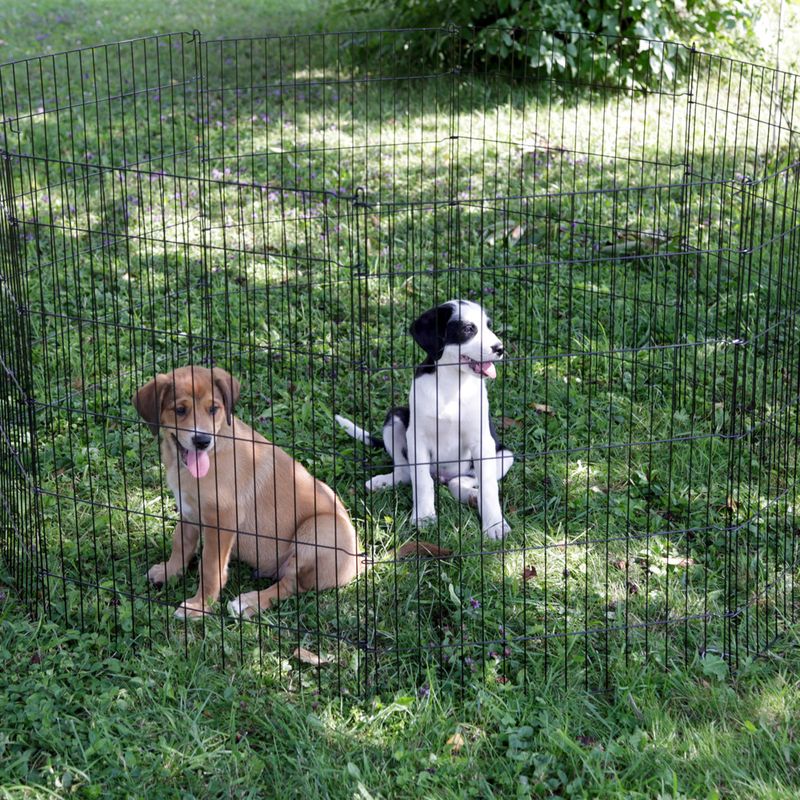 Kerbl Pet Enclosure with Door for Puppies and Small Animals 8 Elements, 57 x 78cm (W x H)