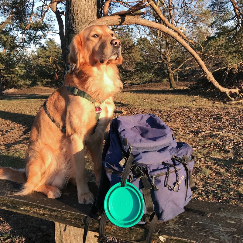 TIAKI Turquoise Silicone Travel Bowl 500ml