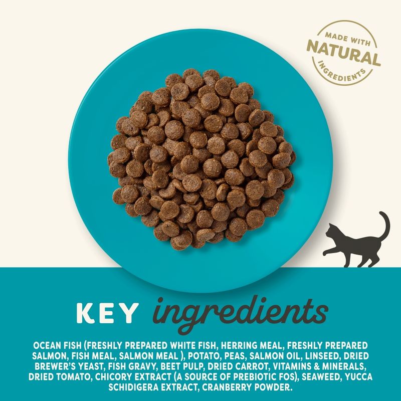 Applaws Adult Ocean Fish with Salmon 350g