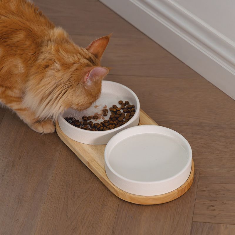 Designed by Lotte Lojs Ceramic Dinner Set for Cats 1 Set: 2 x 350ml
