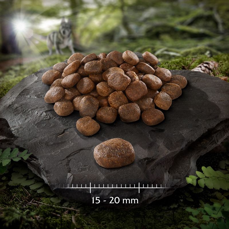 Wolf of Wilderness \