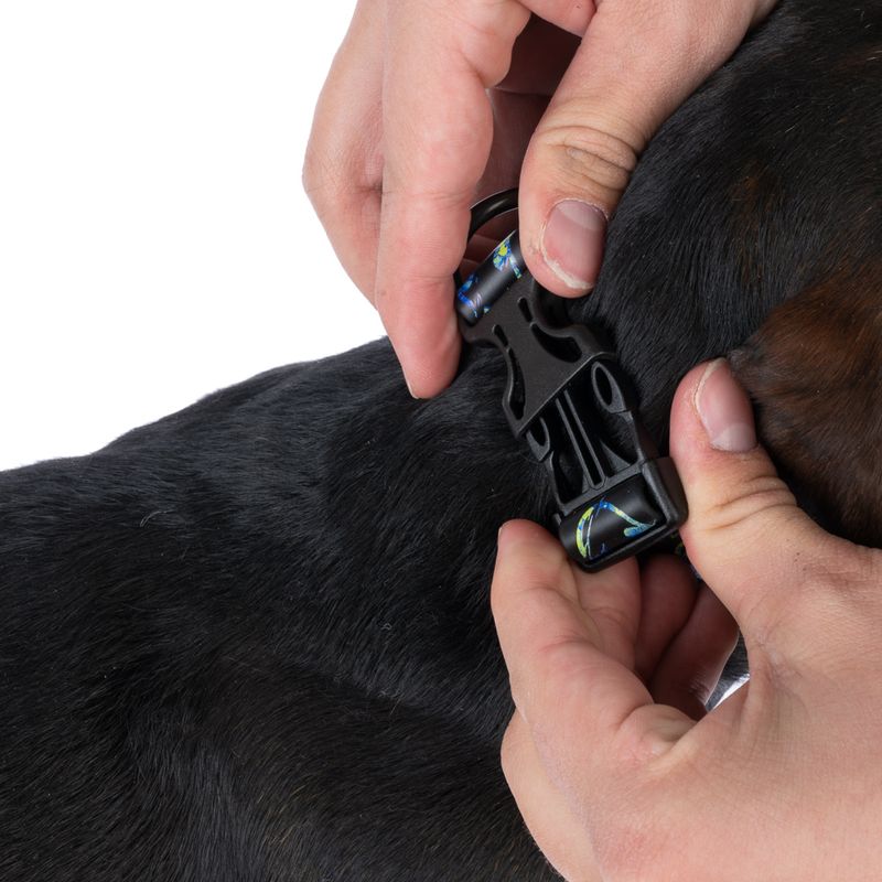 DC Batman Collar - Black Size S: Neck Circumference 25 - 36 cm, Width 20mm