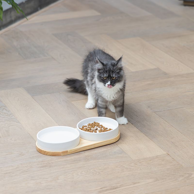Designed by Lotte Lojs Ceramic Dinner Set for Cats 1 Set: 2 x 350ml