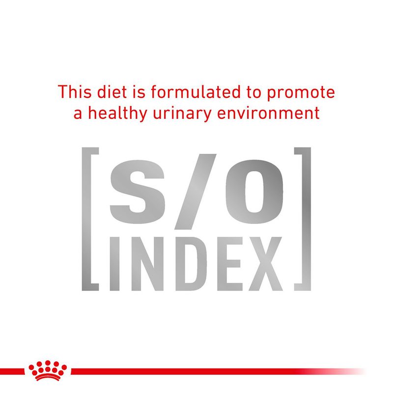 Royal Canin Veterinary Cat - Gastrointestinal Fibre Response in Gravy 12 x 85g