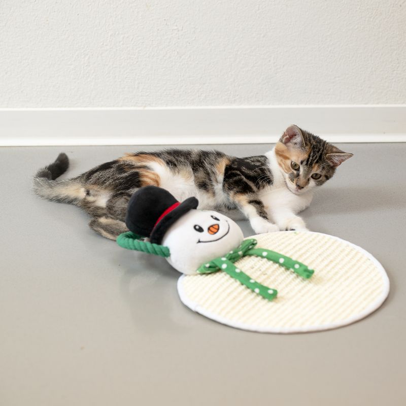 TIAKI Snowman Sisal Scratching Mat 1 Scratching Mat
