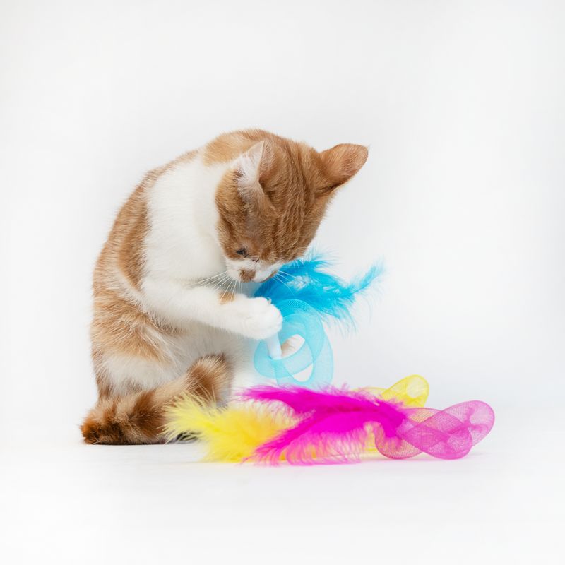 TIAKI Tubes with Feathers Cat Toy Set Set of 3