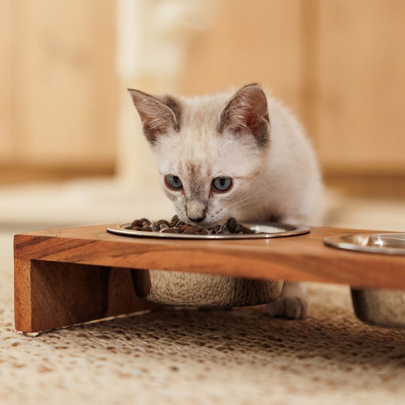 Modern Living Nellore wooden bowl bar 2 x 400 ml, diameter 13 cm