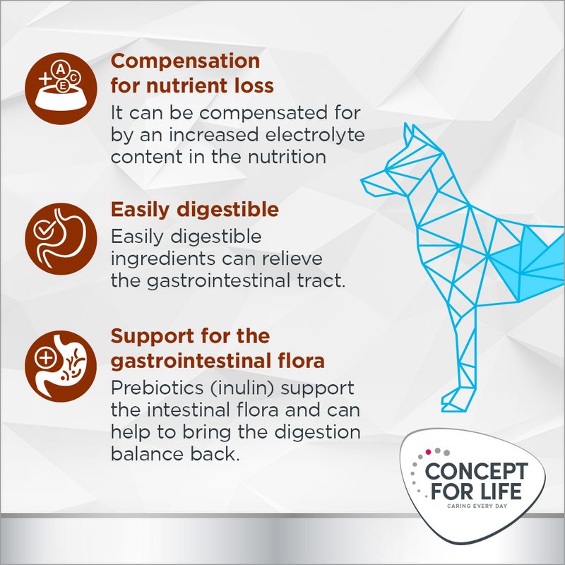 Concept for Life Veterinary Diet Gastrointestinal 6 x 400g