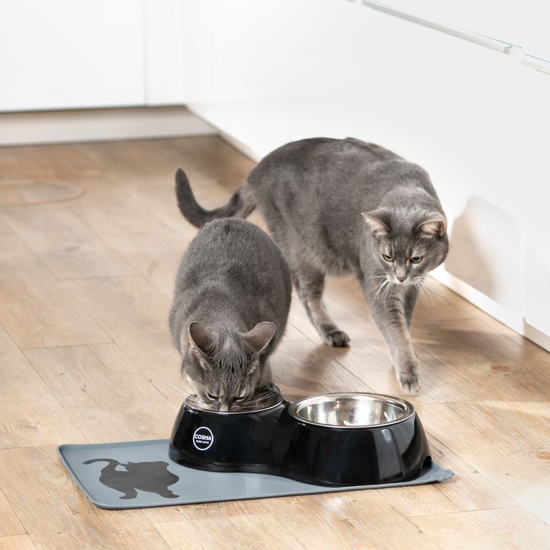 Cosma Dual Feeding Bowl 0.25 litre + 0.75 litre (1 each)