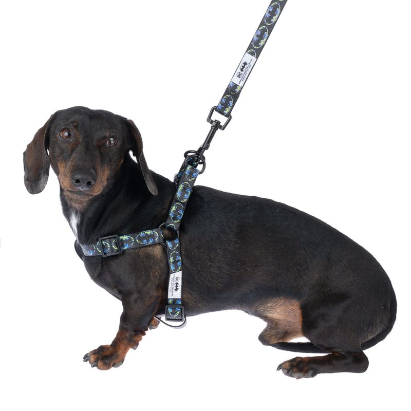 DC Batman Harness - Black Size S: Chest Circumference 39 - 51 cm