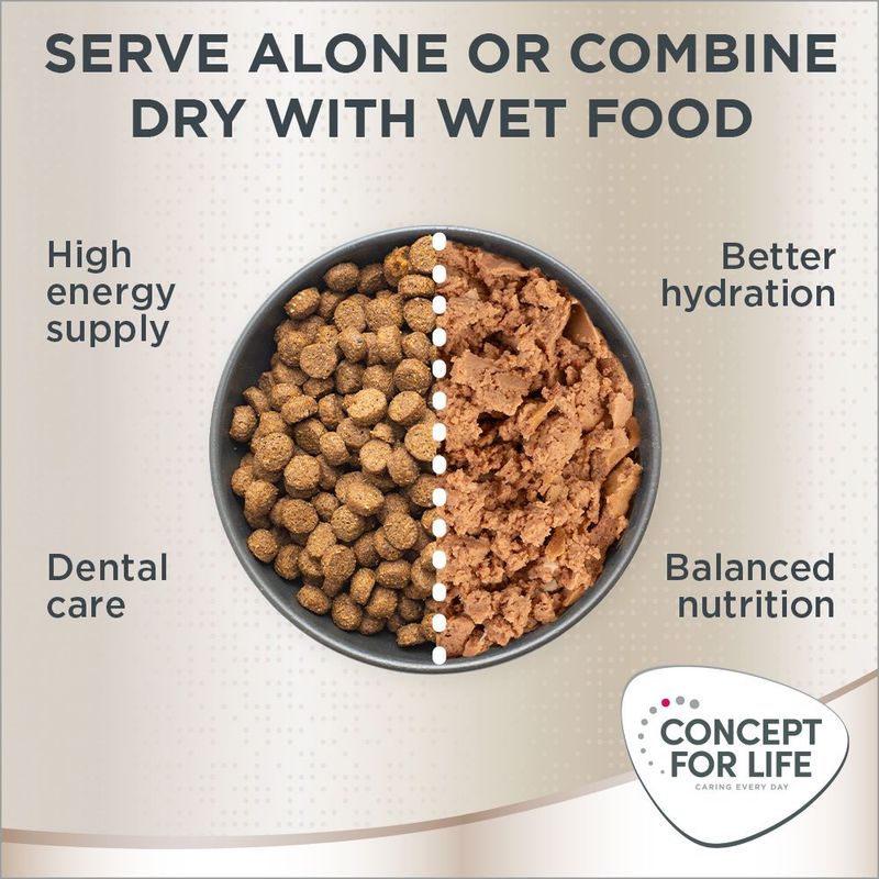 Concept for Life Maine Coon Adult Salmon - Grain-Free 400g