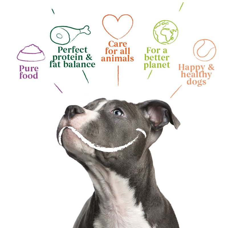 Yarrah Organic Paté with Organic Pork 6 x 400g