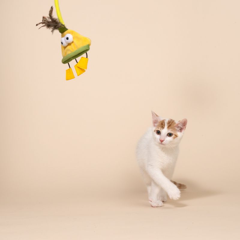 TIAKI Monster Spiral Door Hanger for Cats 1 Toy