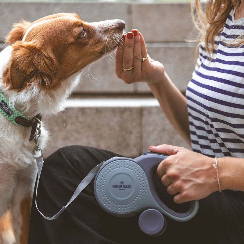 Nomad Tales Calma Retractable Lead Set - 5m 1 Set (Lead, Poo Bag Dispenser & Torch)