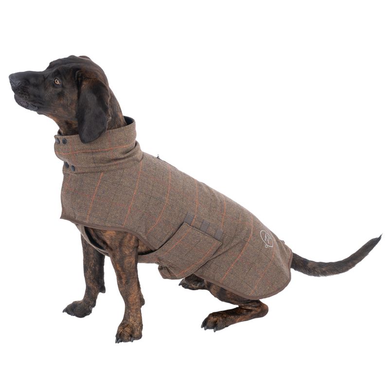 Nomad Tales Bloom Tartan Dog Coat Back length: approx. 35cm
