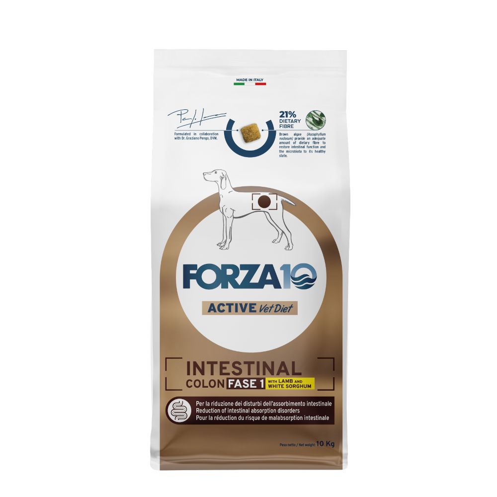 Forza 10 Intestinal Colon Phase 1 with Lamb 10kg
