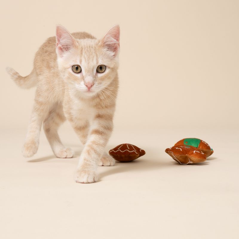 TIAKI Gingerbread Family Cat Toy Set Set of 3